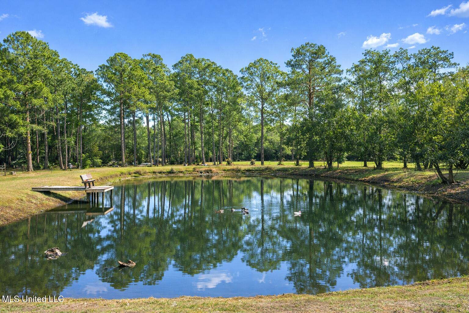 15392 Three Rivers Road Biloxi, MS 39532 - Photo 3 of 78 Private Pond