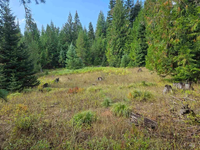 $100,000 | Tbd #7 Hjalmar Johnson Road, Weippe, ID 83553