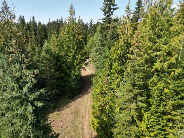 $100,000 | Tbd #7 Hjalmar Johnson Road, Weippe, ID 83553