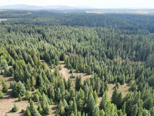 $100,000 | Tbd #7 Hjalmar Johnson Road, Weippe, ID 83553