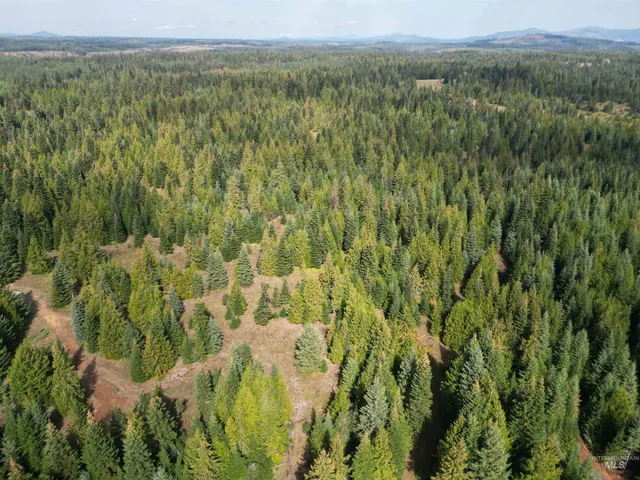 $100,000 | Tbd #7 Hjalmar Johnson Road, Weippe, ID 83553