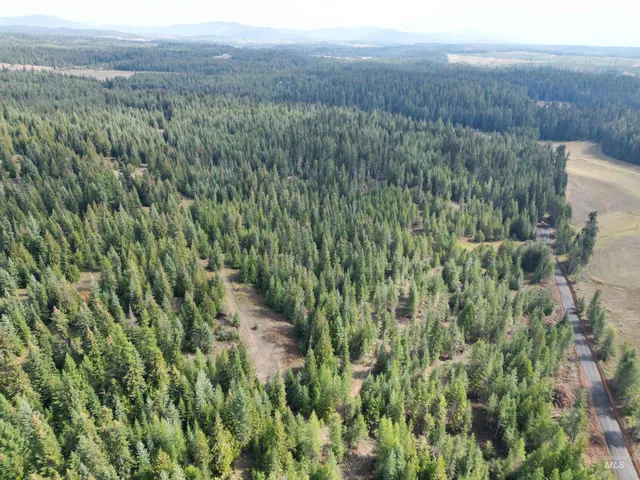 $100,000 | Tbd #7 Hjalmar Johnson Road, Weippe, ID 83553