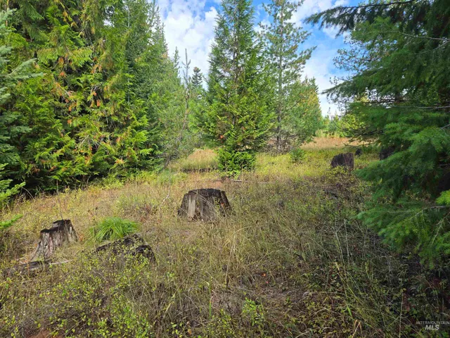 $100,000 | Tbd #7 Hjalmar Johnson Road, Weippe, ID 83553