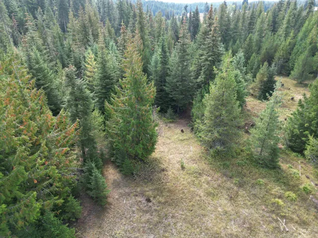 $100,000 | Tbd #7 Hjalmar Johnson Road, Weippe, ID 83553