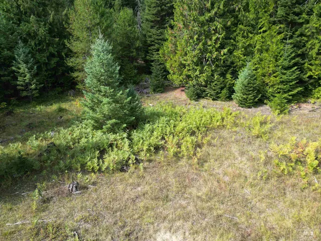 $100,000 | Tbd #7 Hjalmar Johnson Road, Weippe, ID 83553