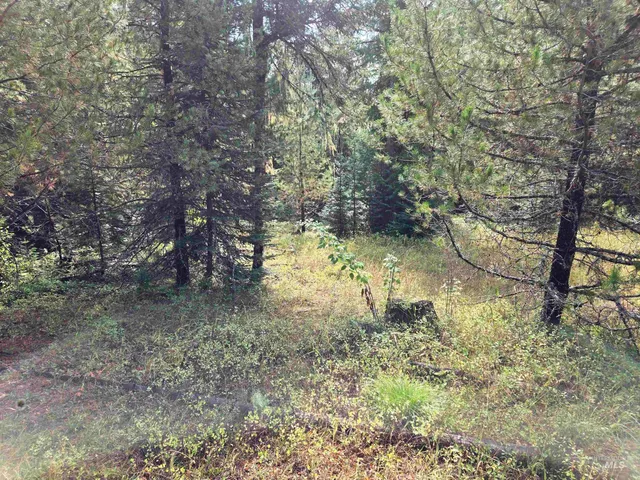 $100,000 | Tbd #7 Hjalmar Johnson Road, Weippe, ID 83553