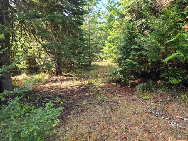 $100,000 | Tbd #7 Hjalmar Johnson Road, Weippe, ID 83553