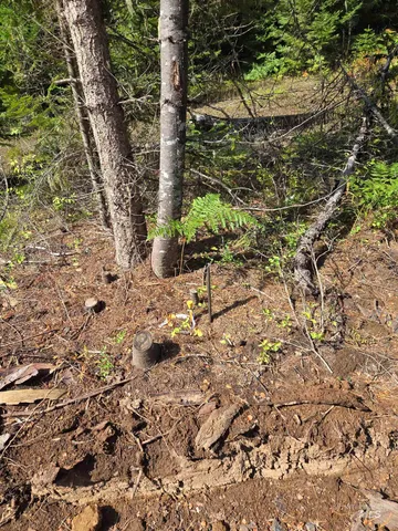 $100,000 | Tbd #7 Hjalmar Johnson Road, Weippe, ID 83553