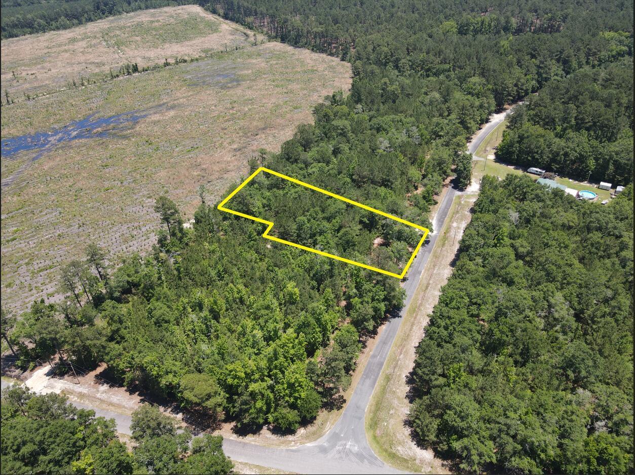0 Tumbleweed Road Smoaks, SC 29481 - Photo 4 of 11