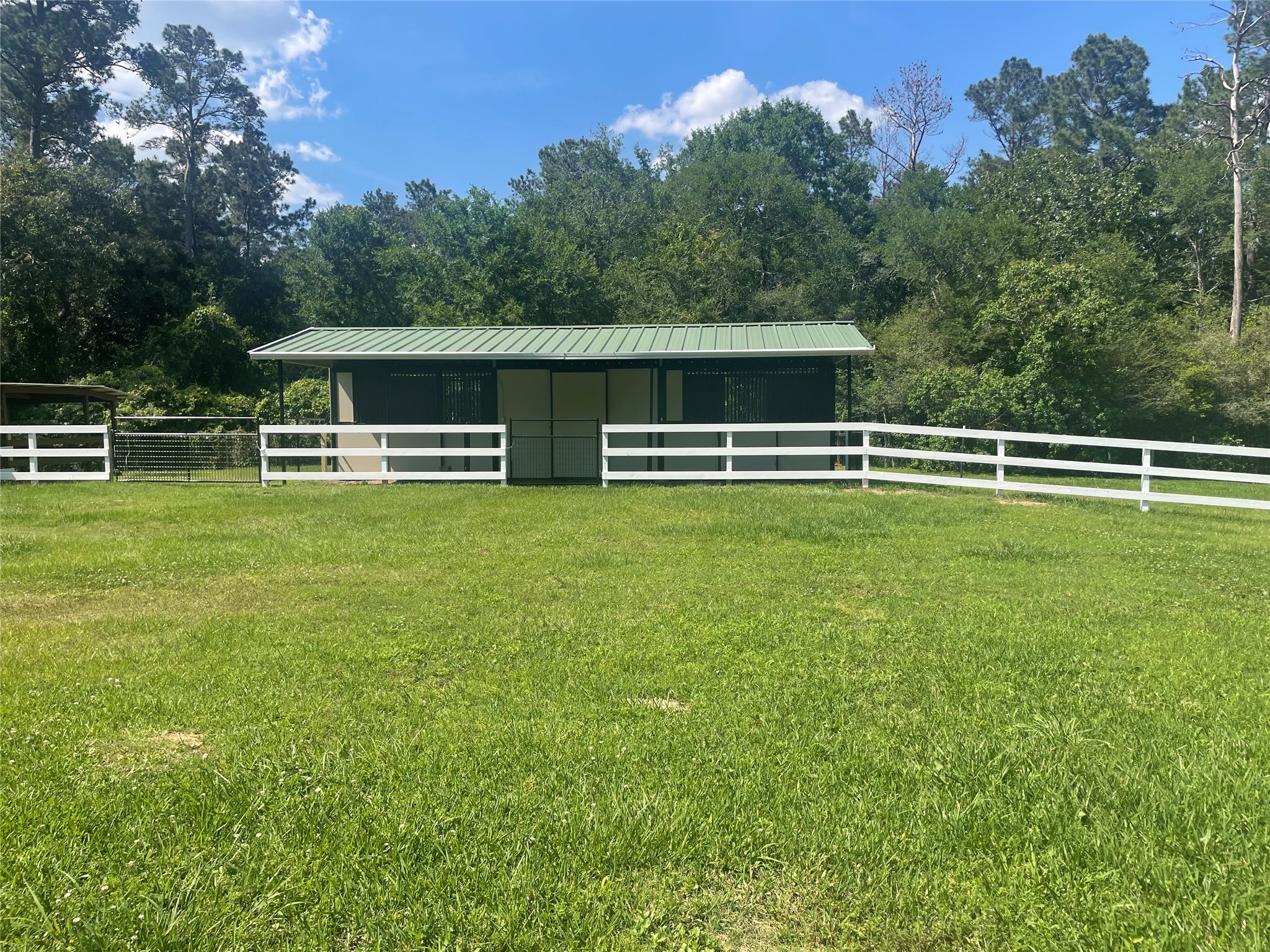 173 Ridgewood Drive Magnolia, TX 77355 - Photo 2 of 19