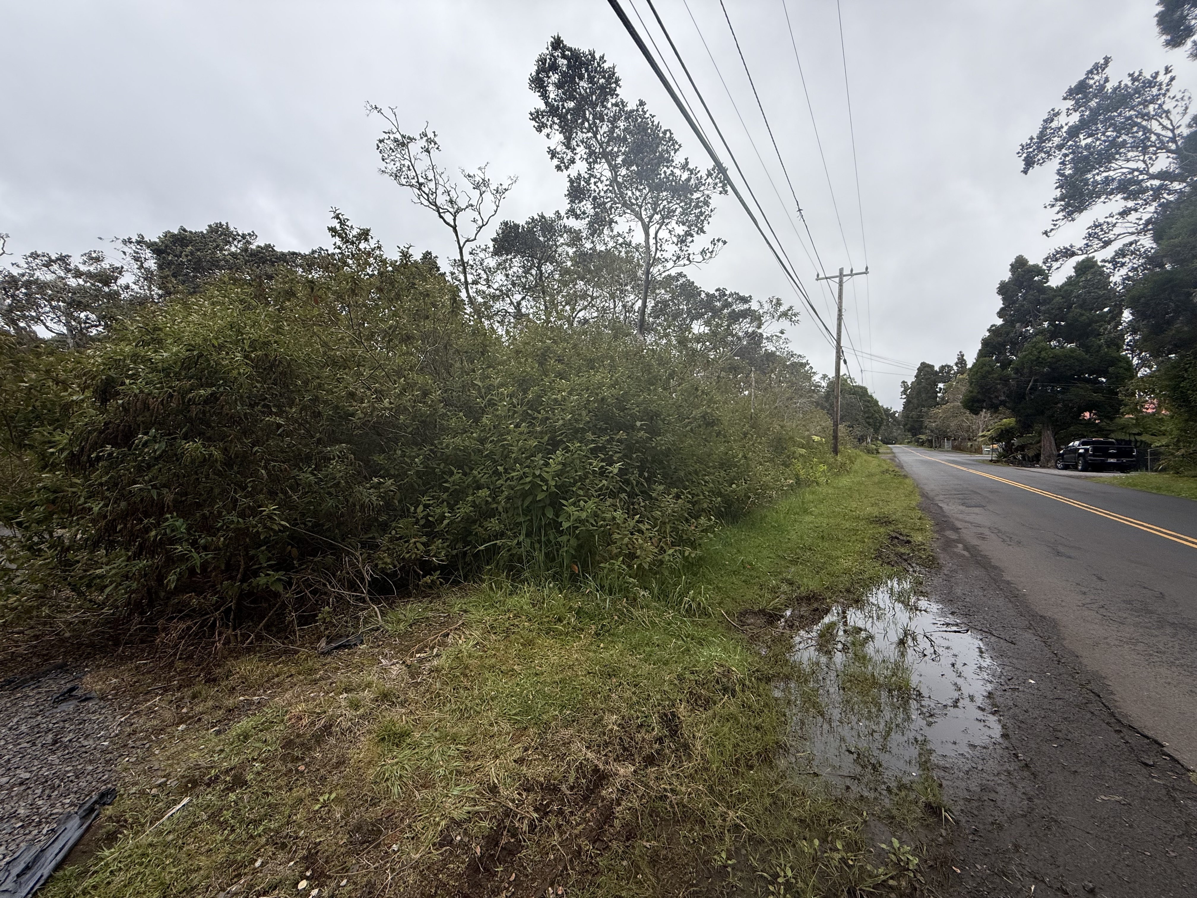 19-4021 Haunani Road Volcano, HI 96785 - Photo 2 of 6 a view of a yard with plants and a tree