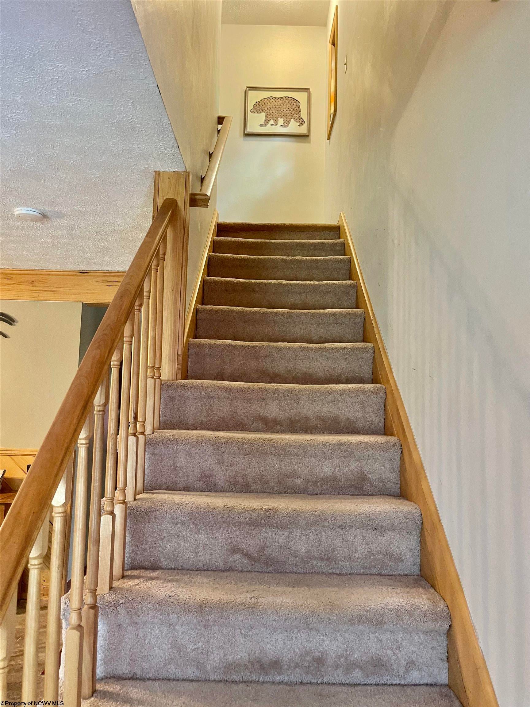 C2 Cedar, Unit C2 Davis, WV 26260 - Photo 10 of 23 Gallery Image 10