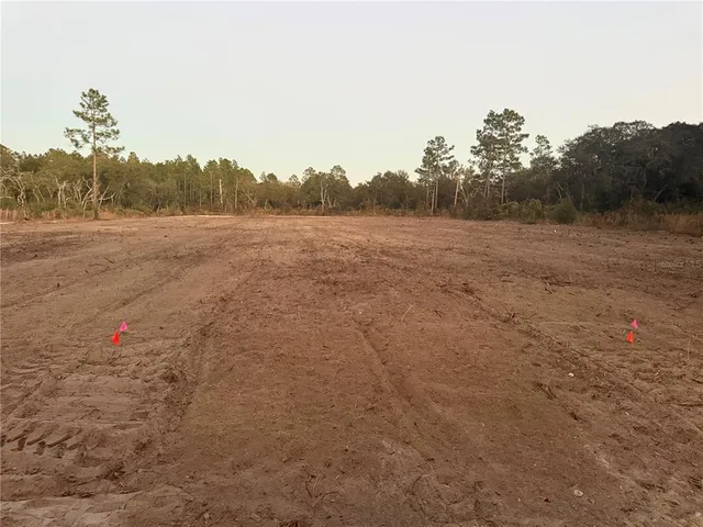 a view of outdoor space and city view