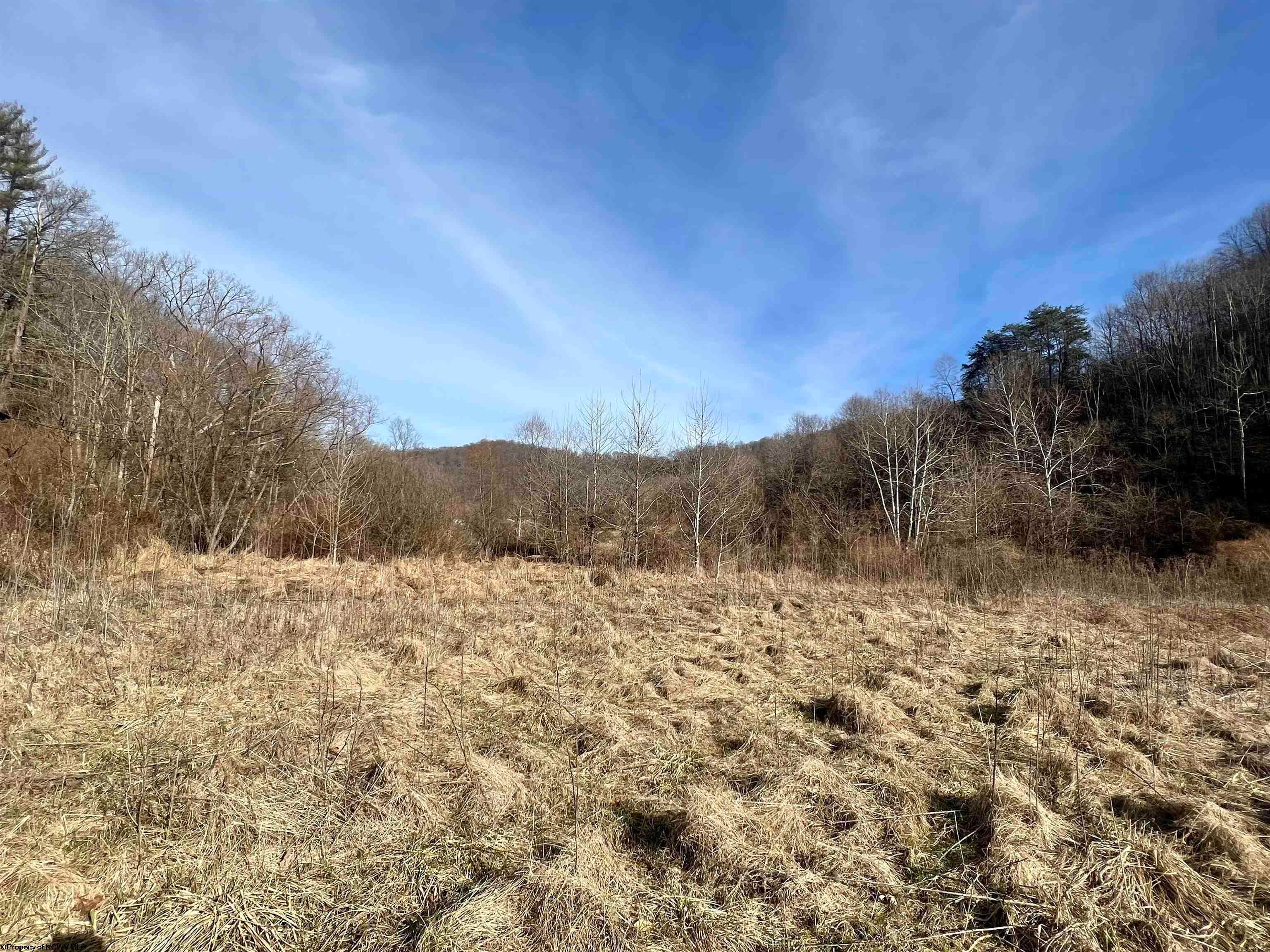 Tbd Beverlin Fork Center Point, WV 26339 - Photo 1 of 14 Gallery Image 1