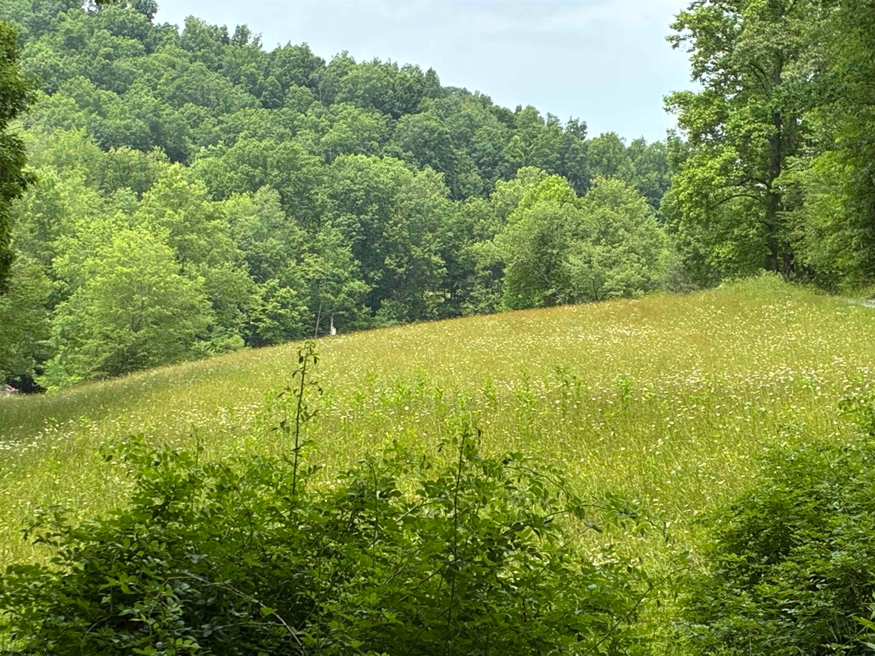 1168 Heaston Ridge Road Crawford, WV 26343 - Photo 12 of 16 Gallery Image 12