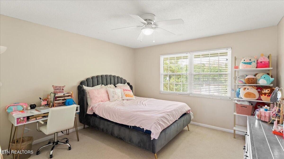 612 Plainfield Road Knoxville, TN 37923 - Photo 33 of 52 Gallery Image 33