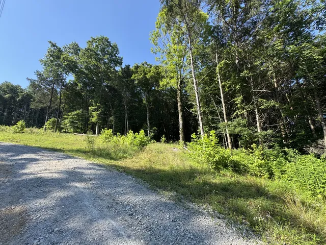 a view of backyard with green space