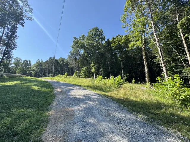 a view of a garden with basketball court