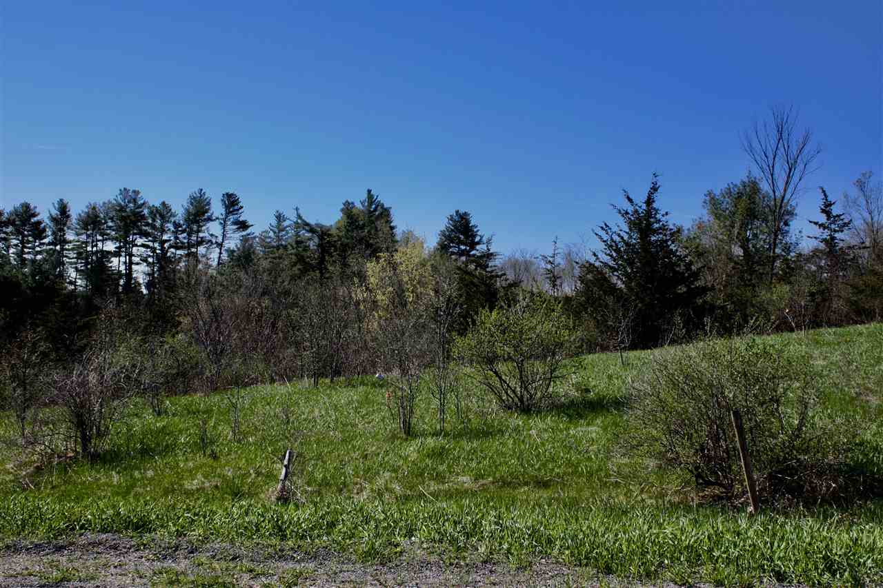 Tbd Rattlin Bridge Road Bridport, VT 05734 - Photo 15 of 17