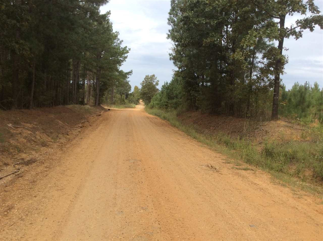 0 Mt Helm Road, Unit 12 Brandon, MS 39047 - Photo 1 of 4 Photo 1