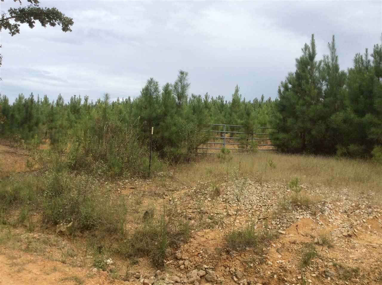 0 Mt Helm Road, Unit 12 Brandon, MS 39047 - Photo 2 of 4 Photo 2