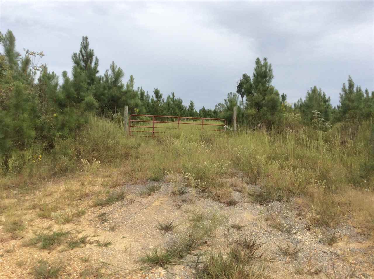 0 Mt Helm Road, Unit 12 Brandon, MS 39047 - Photo 3 of 4 Photo 3