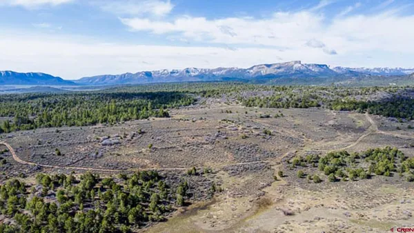 a view of a yard with a mountain