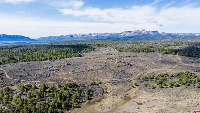 a view of a yard with a mountain