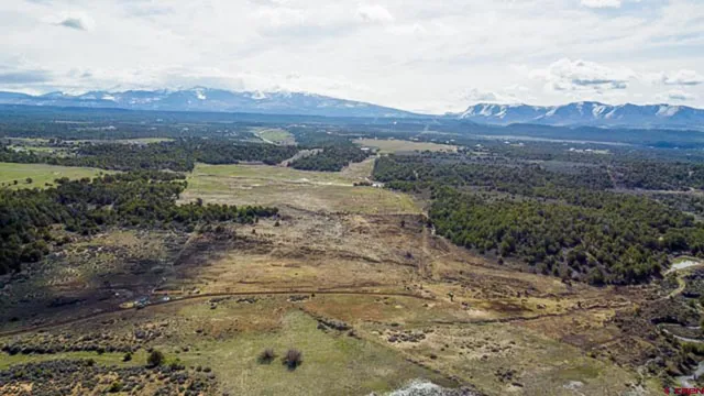 a view of mountain and tree