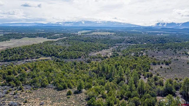 an aerial view of a house with a yard and mountain view in back
