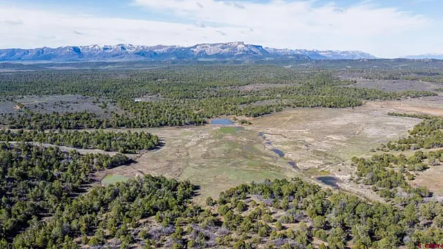 a view of an outdoor space with mountain view