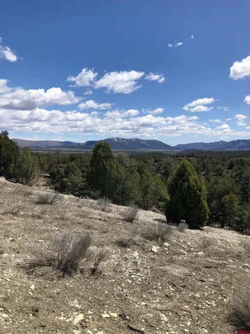 a view of a tree in front of a house