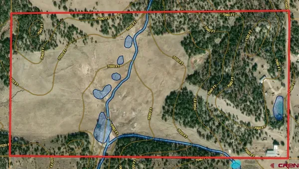 a view of a dry yard with wooden fence