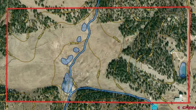 a view of a dry yard with wooden fence