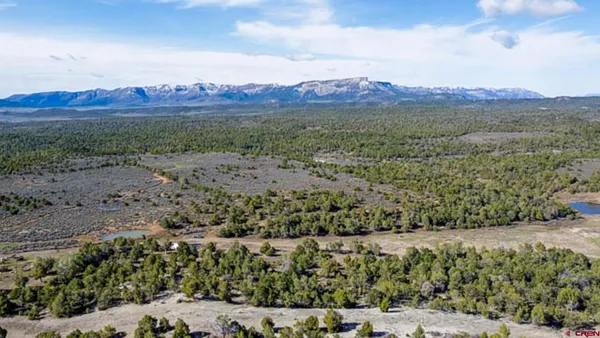 a view of a lush green hillside and houses