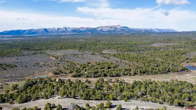 a view of a lush green hillside and houses