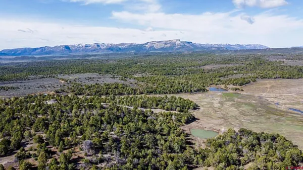 a view of city and mountain