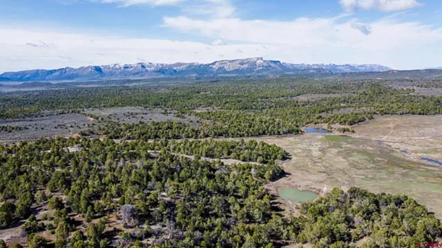 a view of city and mountain
