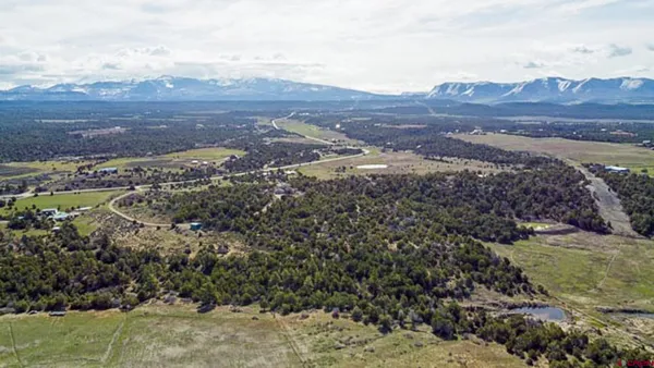 a view of a sky from a yard