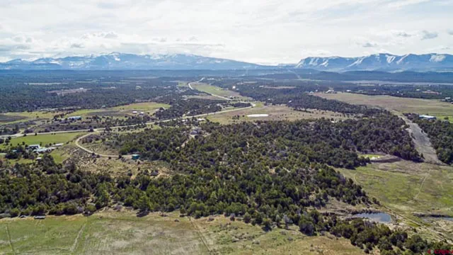 a view of a sky from a yard