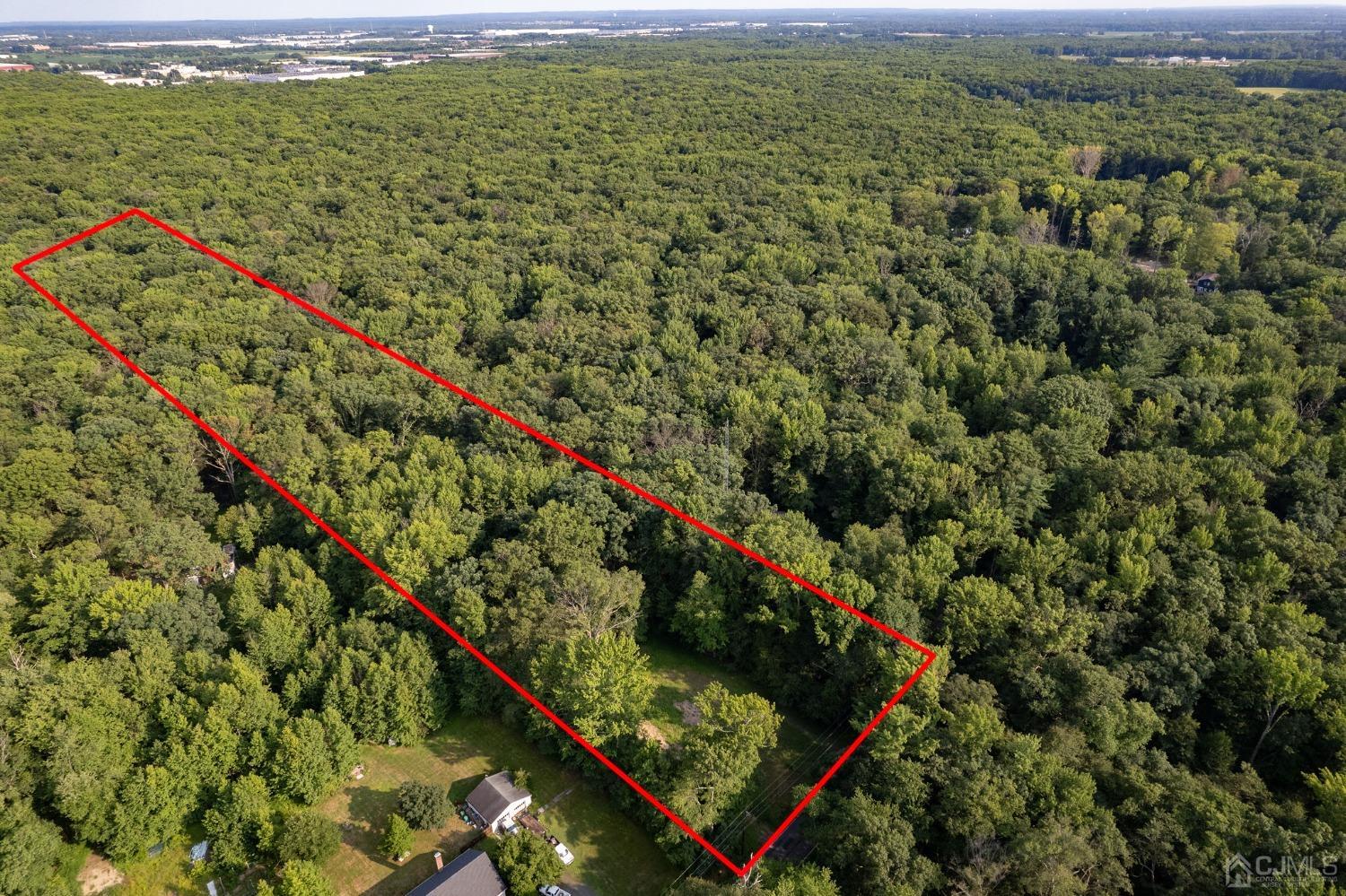 82 Miller Road Cranbury, NJ 08512 - Photo 3 of 11