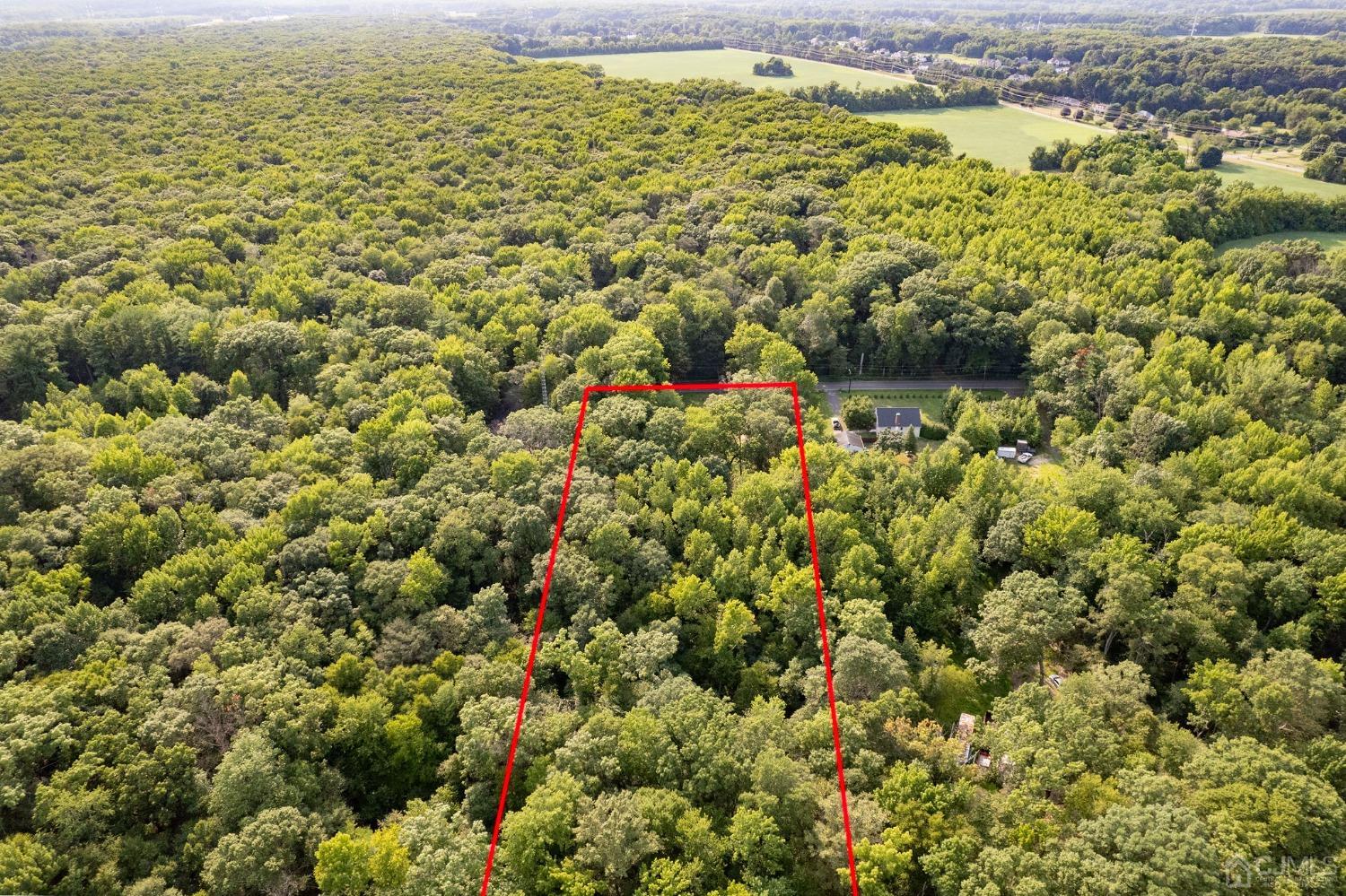 82 Miller Road Cranbury, NJ 08512 - Photo 4 of 11