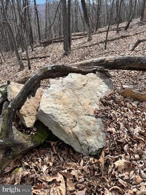 Quaint Acres Berkeley Springs Berkeley Springs, WV 25411 - Photo 12 of 19 a view of a yard with wooden fence
