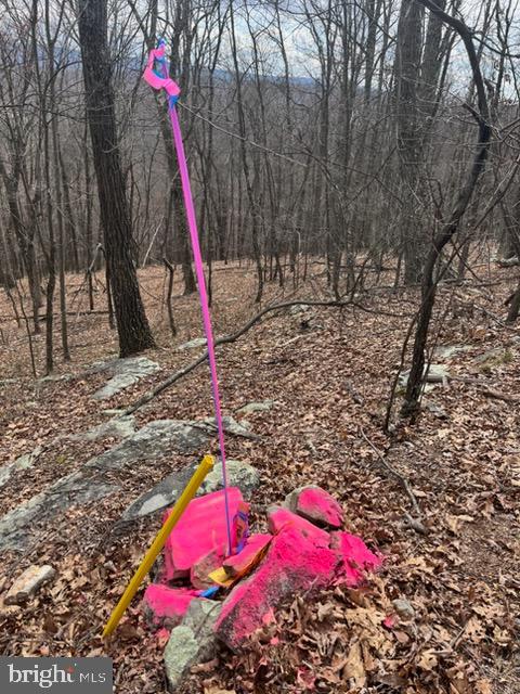 Quaint Acres Berkeley Springs Berkeley Springs, WV 25411 - Photo 16 of 19 a view of outdoor space
