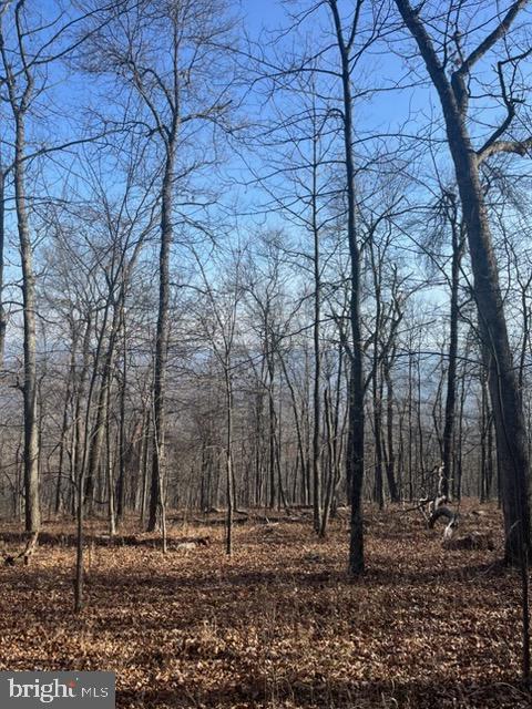 Quaint Acres Berkeley Springs Berkeley Springs, WV 25411 - Photo 3 of 19 a backyard of a house with lots of green space