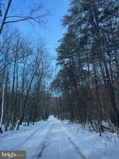 Quaint Acres Berkeley Springs Berkeley Springs, WV 25411 - Photo 4 of 19 a view of outdoor space and yard