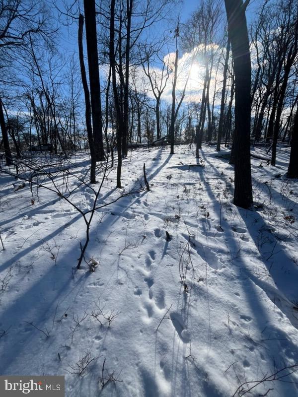 Quaint Acres Berkeley Springs Berkeley Springs, WV 25411 - Photo 5 of 19 a view of outdoor space with trees