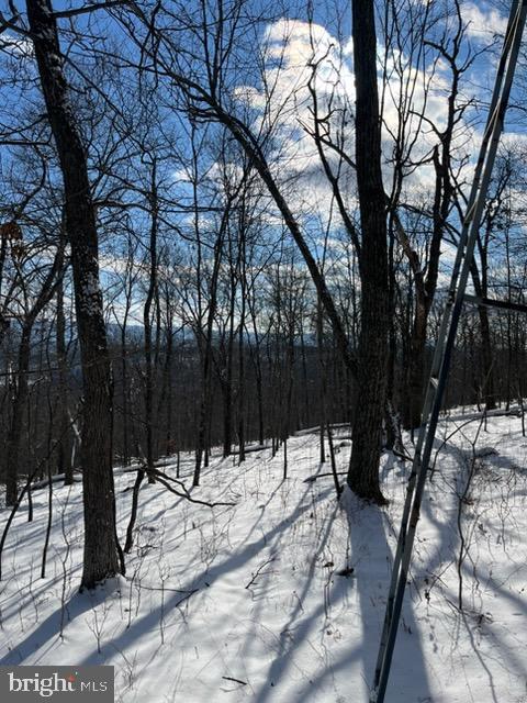 Quaint Acres Berkeley Springs Berkeley Springs, WV 25411 - Photo 7 of 19 a view of outdoor space with a patio