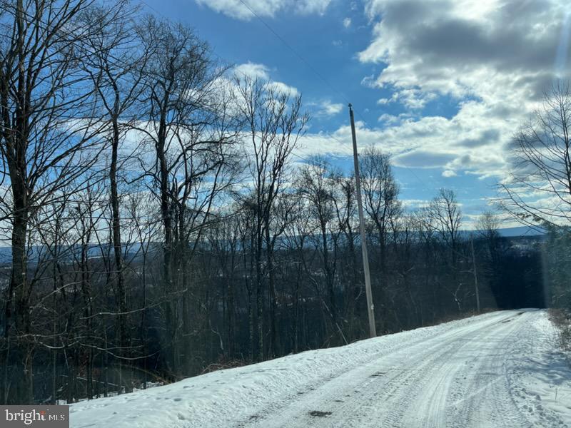 Quaint Acres Berkeley Springs Berkeley Springs, WV 25411 - Photo 9 of 19 a view of a backyard of the house