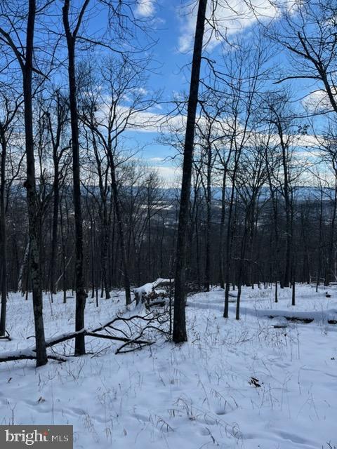 Quaint Acres Berkeley Springs Berkeley Springs, WV 25411 - Photo 10 of 19 a view of a park with large trees